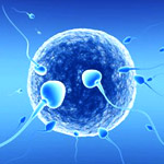 IVF, Male & Female Infertility