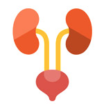 Urology Treatment in India